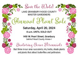 plant sale